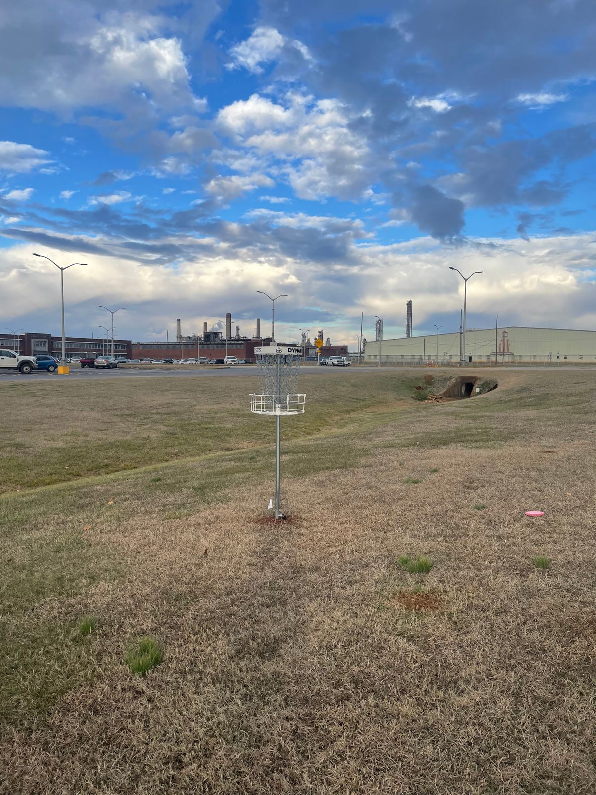 Hole 6 elevated basket