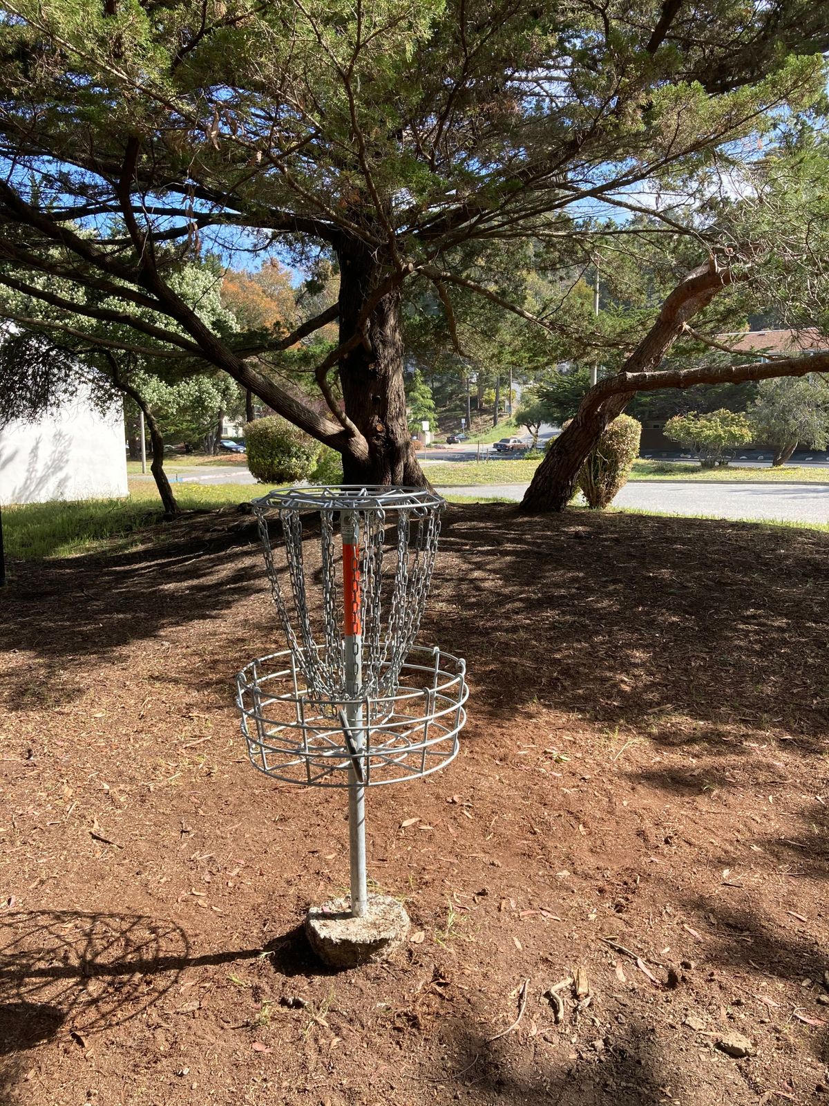The lone Mach x basket 3