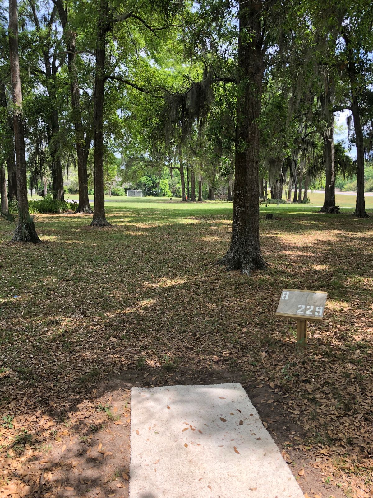Hole 8, tee to basket