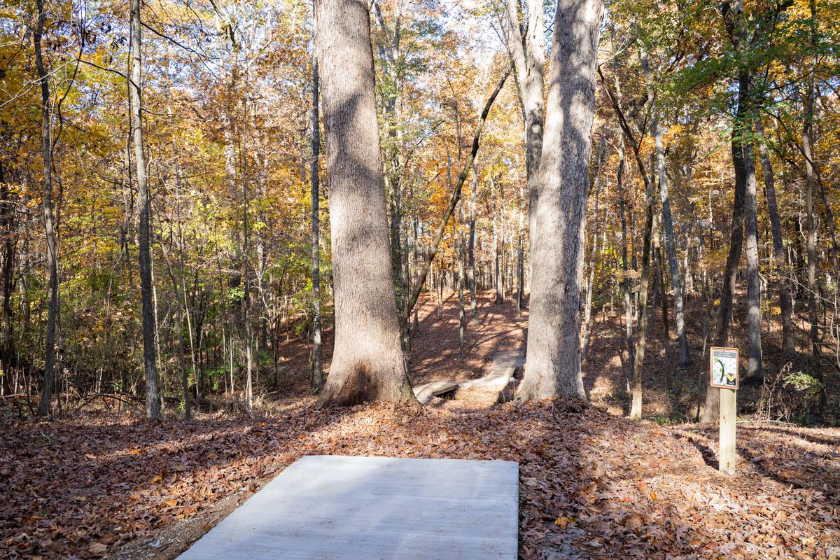 Hole 11