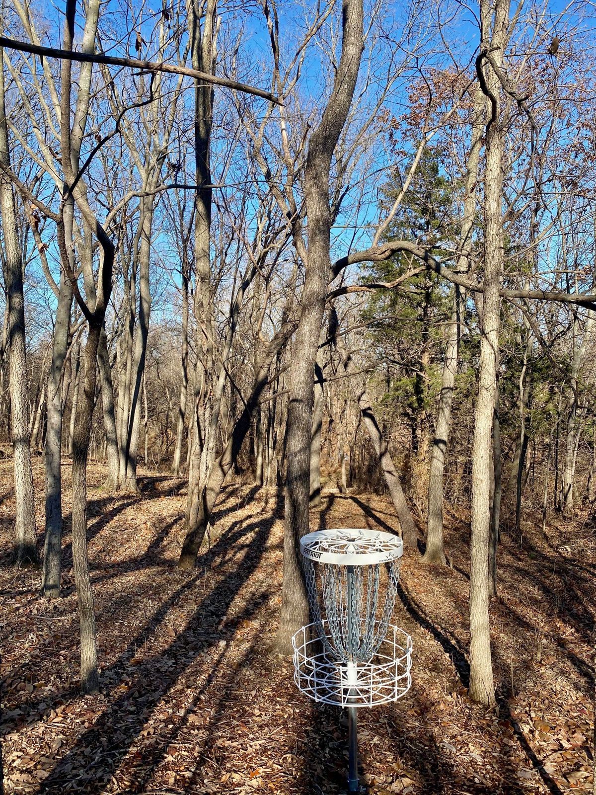 Hole 7 Basket to Tee