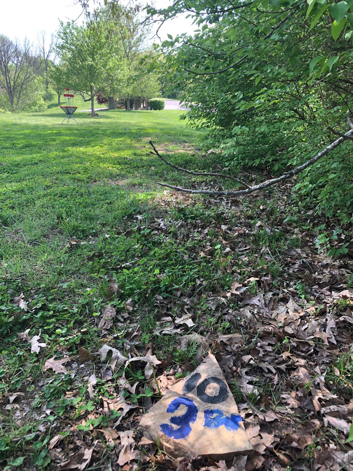 Slightly obstructed flat ground 200ish footer to start off back nine!