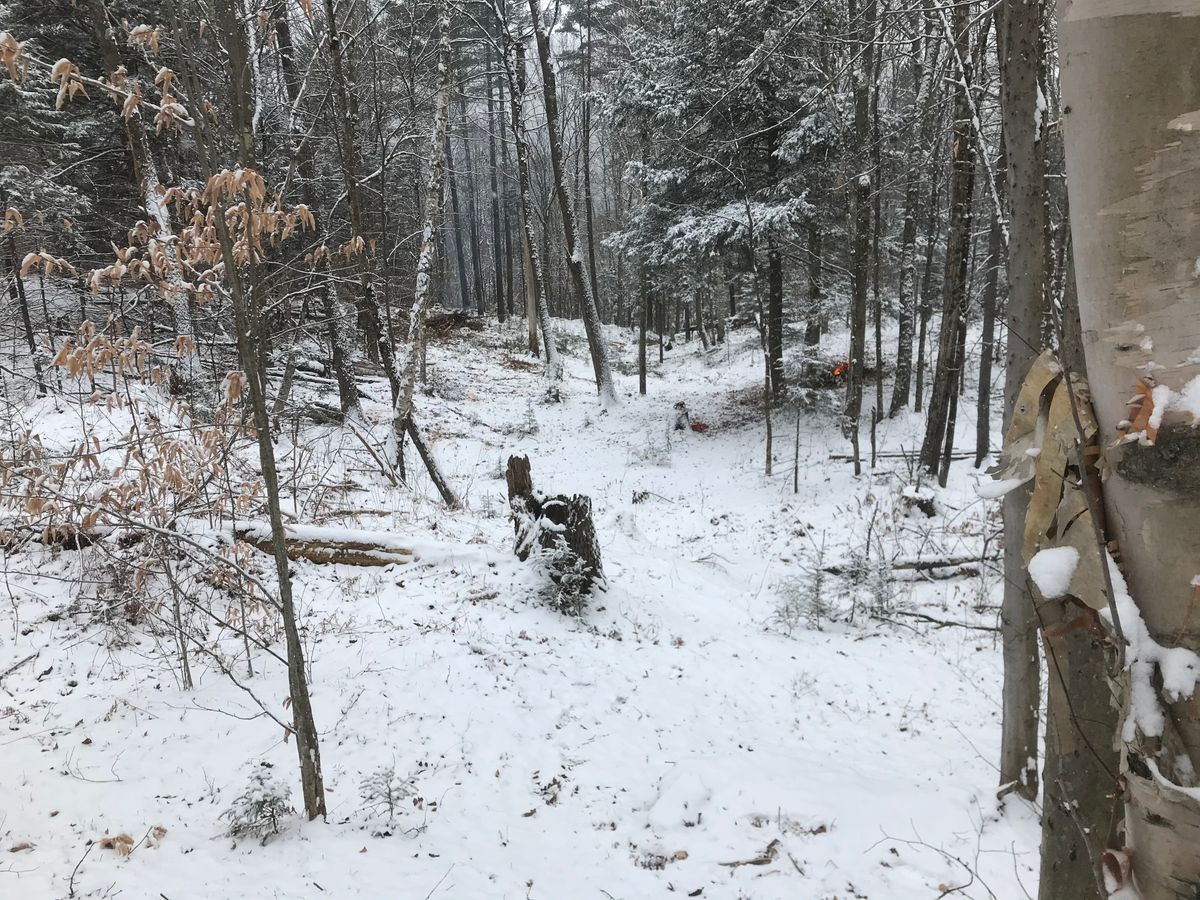 Hole 15’s tee shot.