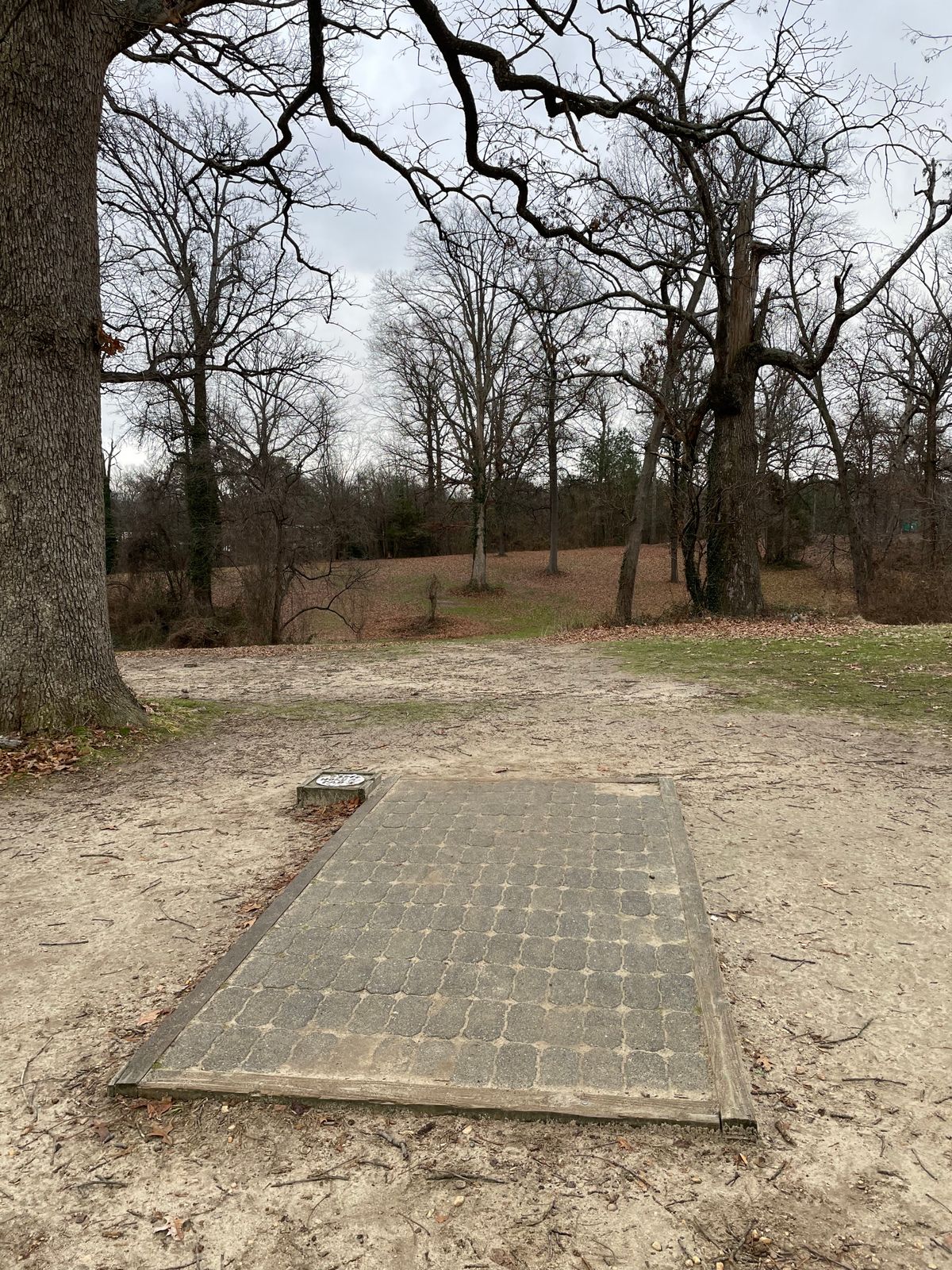 Fairway 6
January 1, 2024
