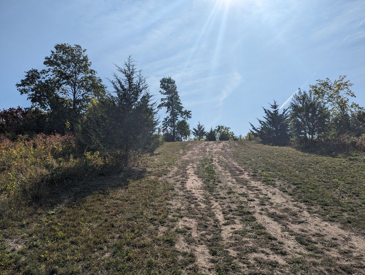 Fairway to Long Basket