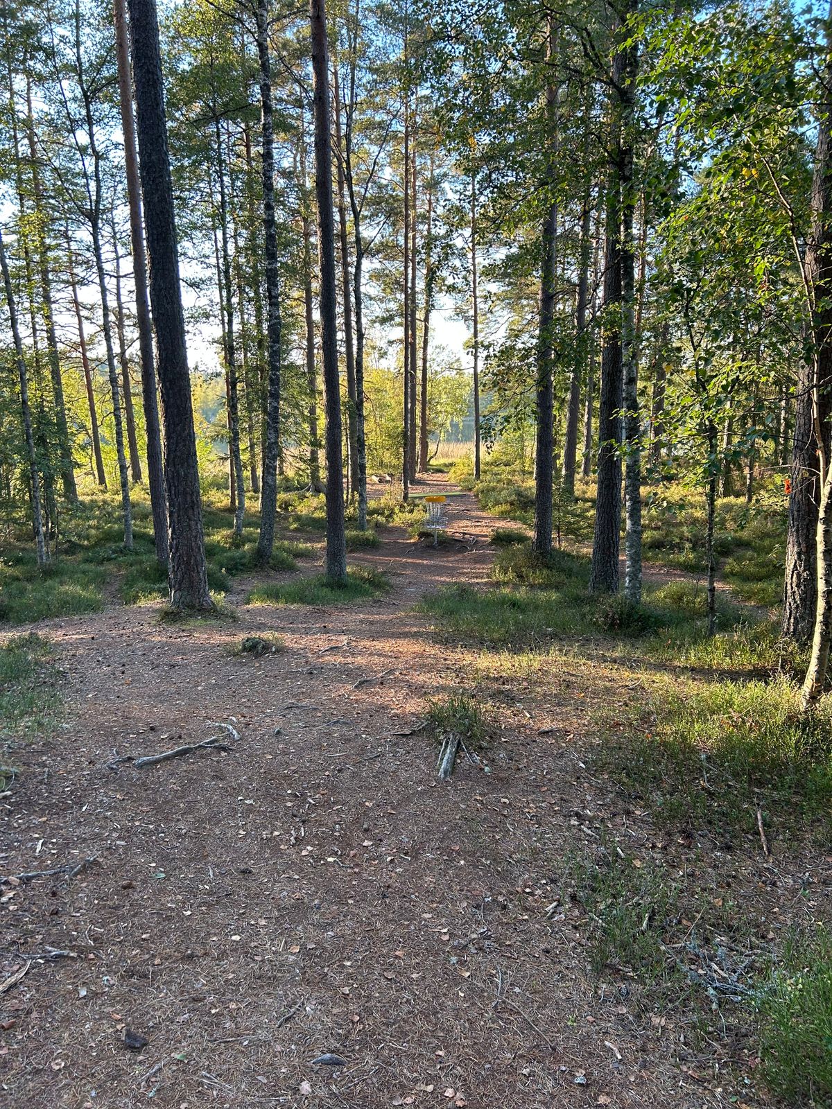 Fairway 2