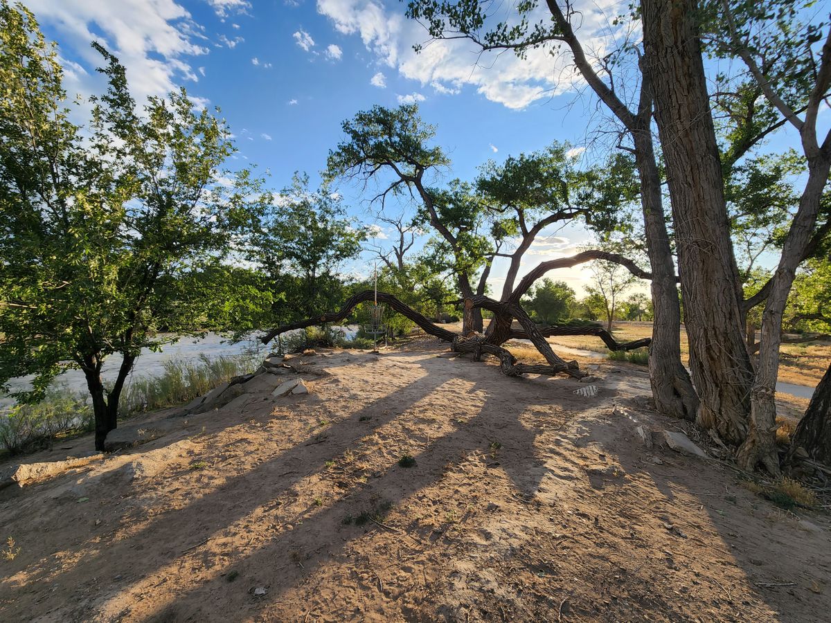 Watson Island DGC