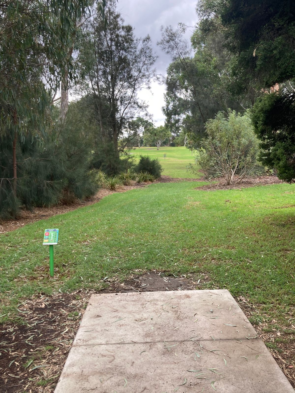 Hole 6, 200 feet straight ahead, OB everywhere.