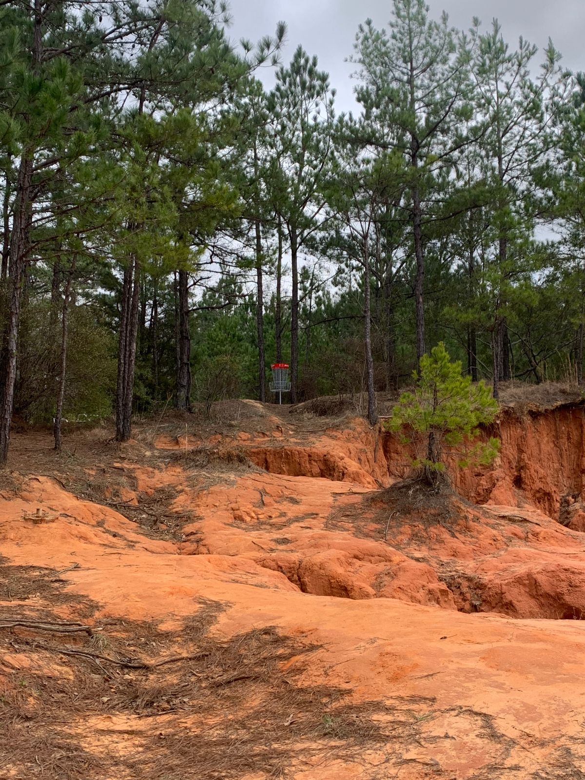 Hole 1