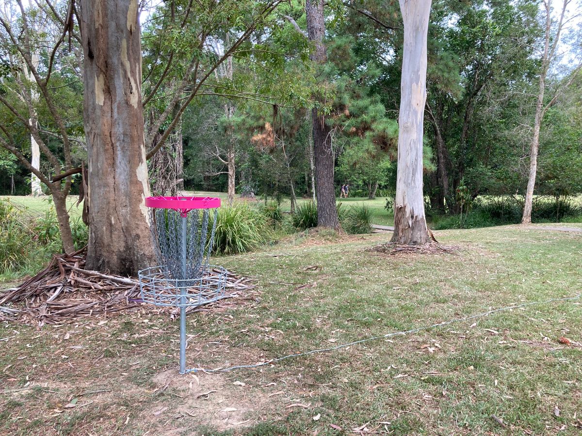 Hole 5 Basket
