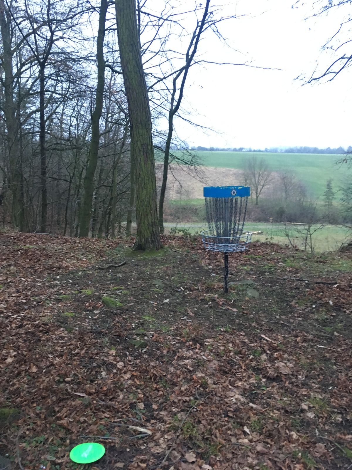 Drive on 6th hole, parked!