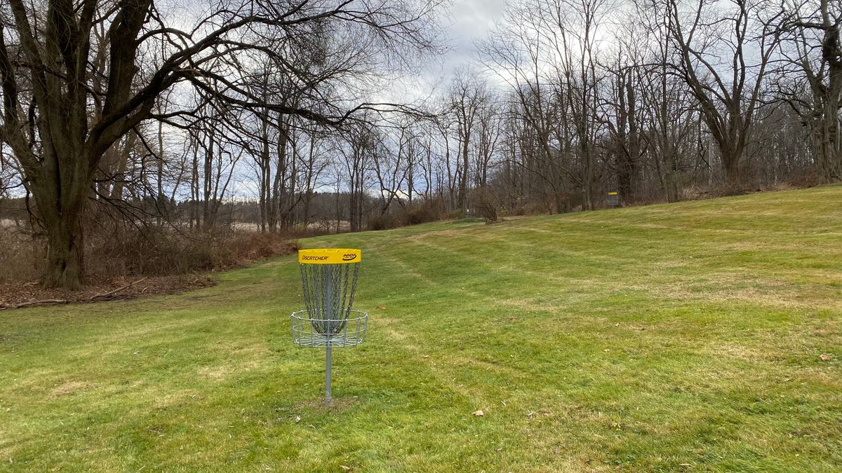 Green of 7