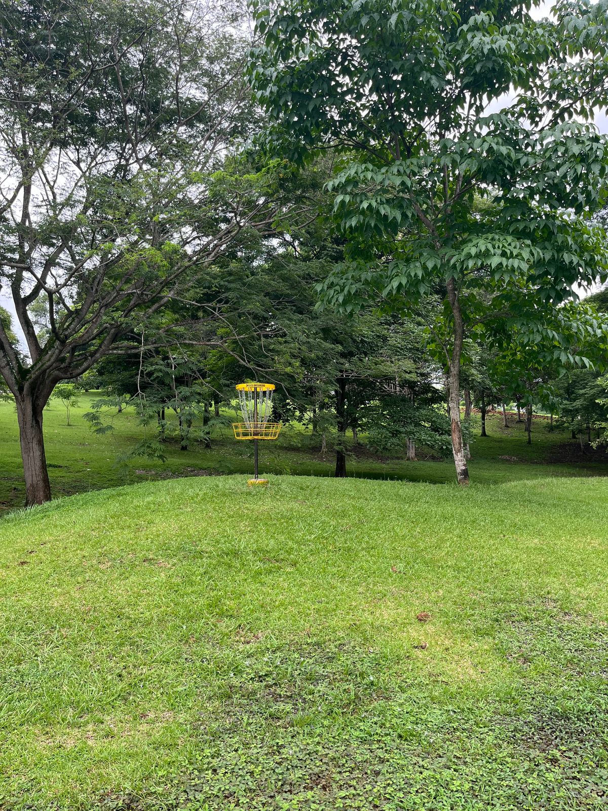 Hole 4 basket