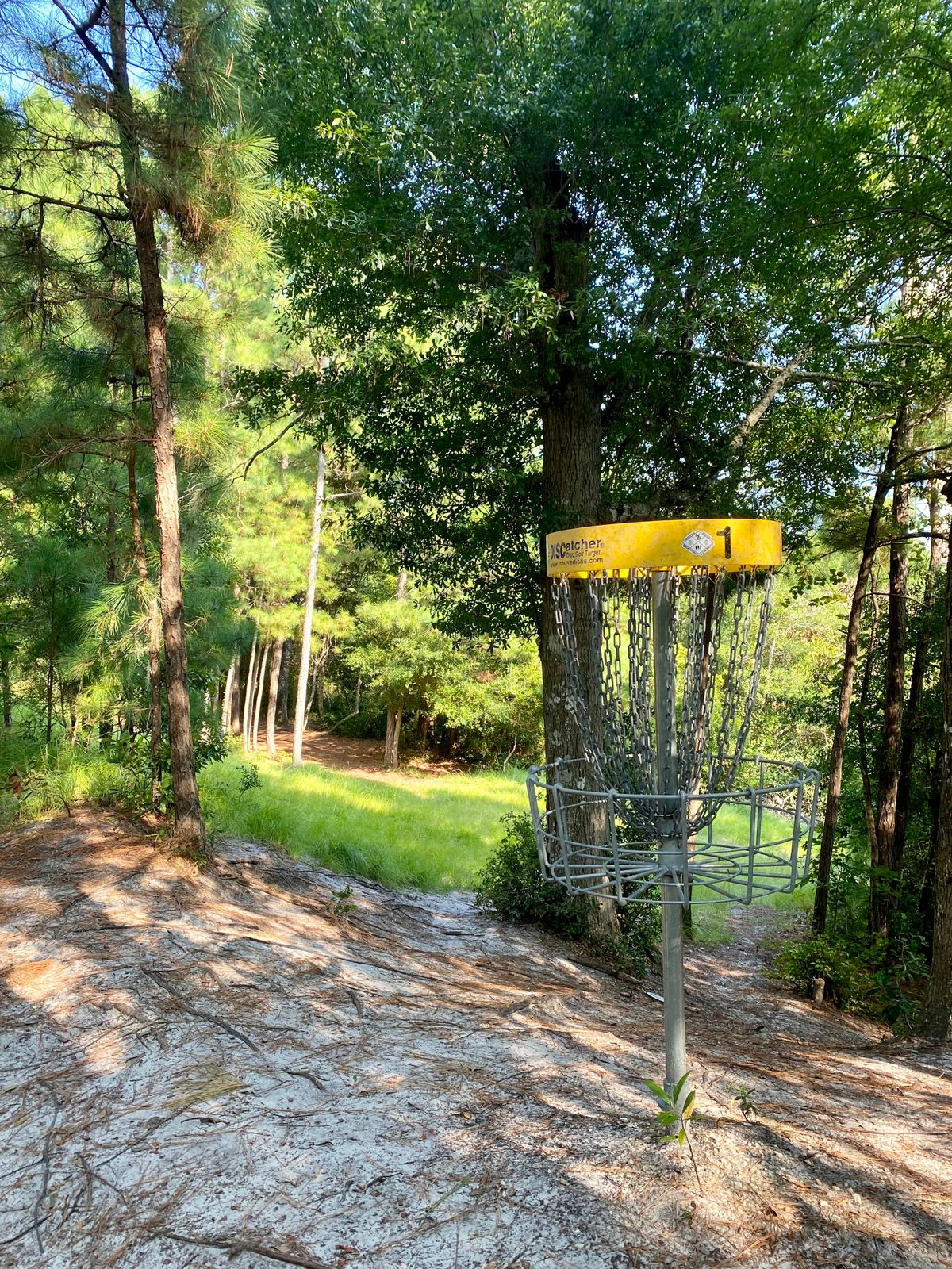 Hole 1, from the basket looking back towards the tee pad.