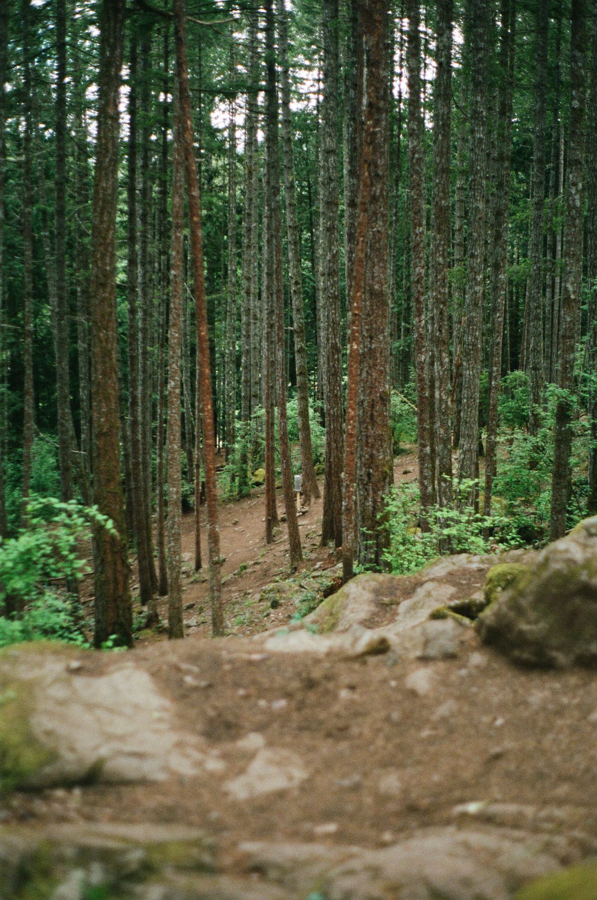 Hole 14