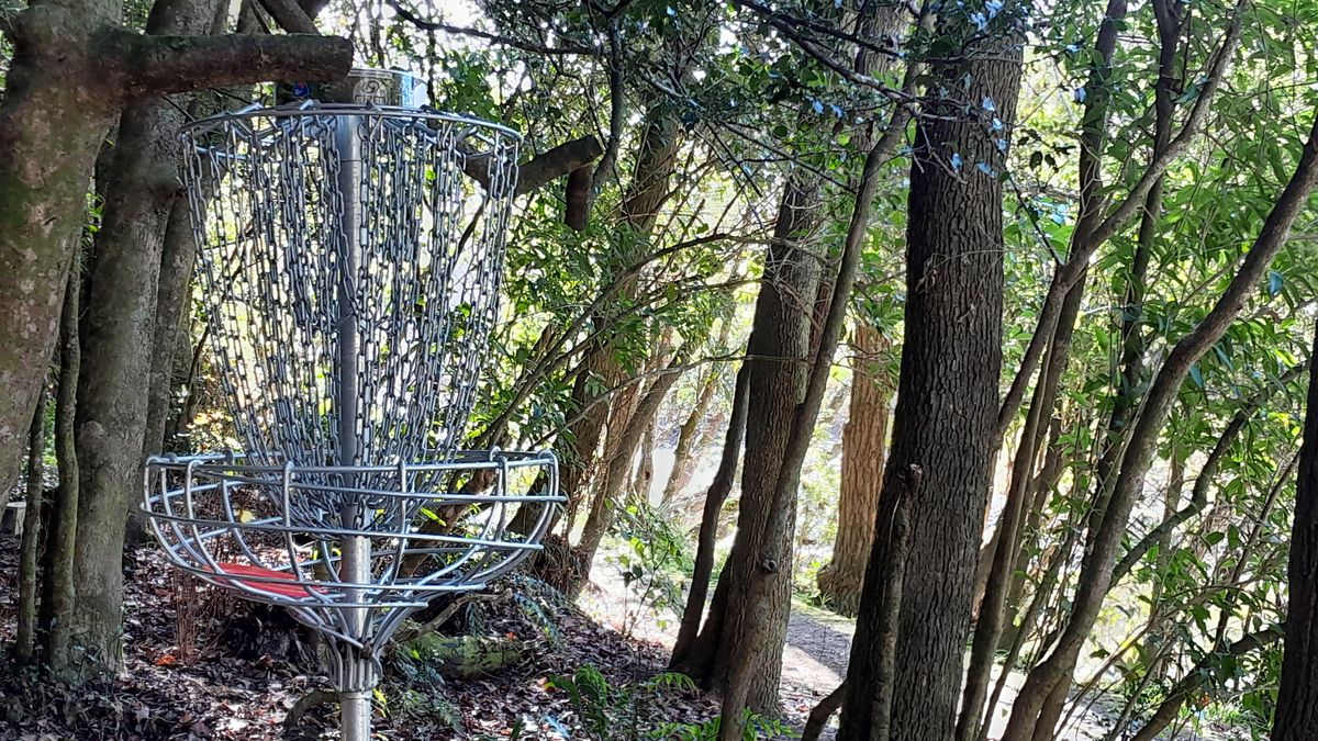 Hole 11 basket