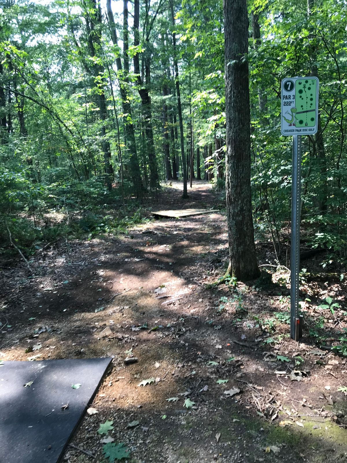 Hole #7