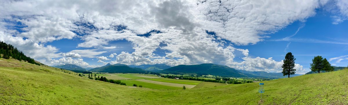 View from basket 4.