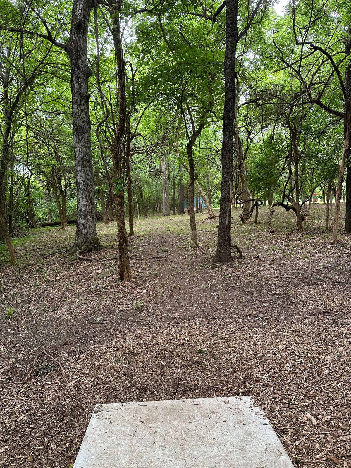 Hole 9 tee