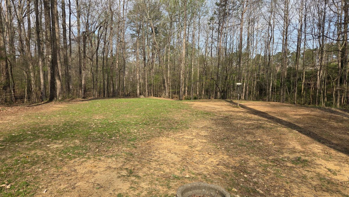 Fairway to Hole 7 Gold and Silver Baskets