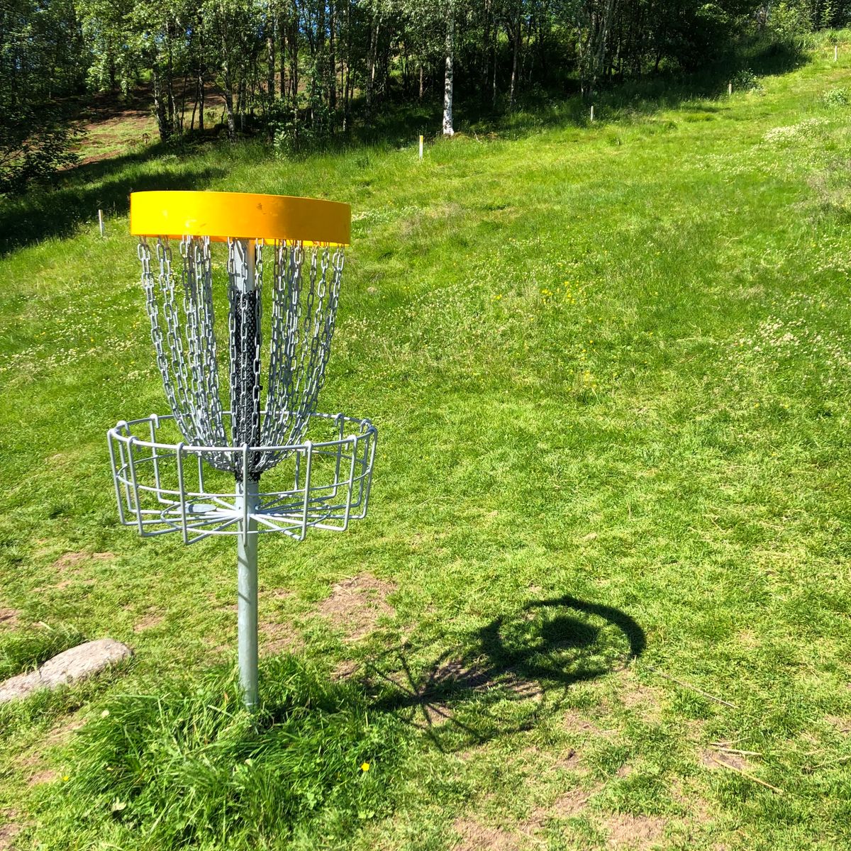 Basket Hole 8