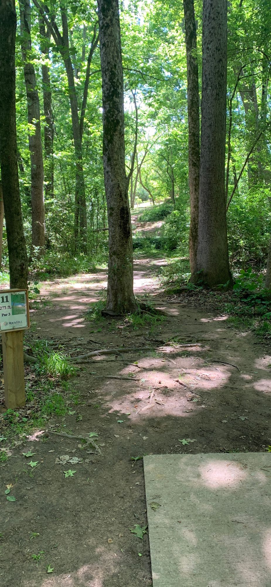 Sign says 11 in photo, but has been changed 9. 