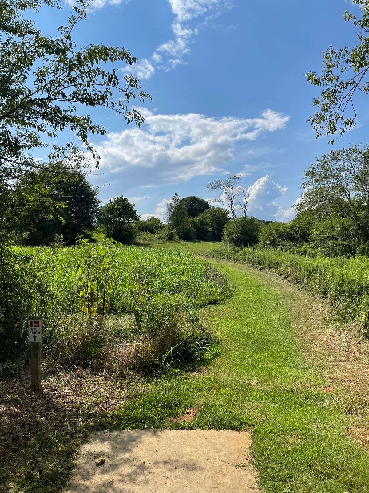 “Fairway” of Hole 15…can’t even see the missing basket yet