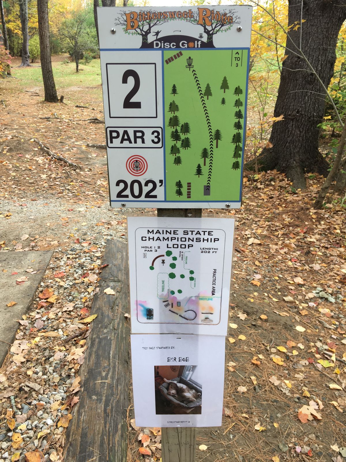 Hole 2