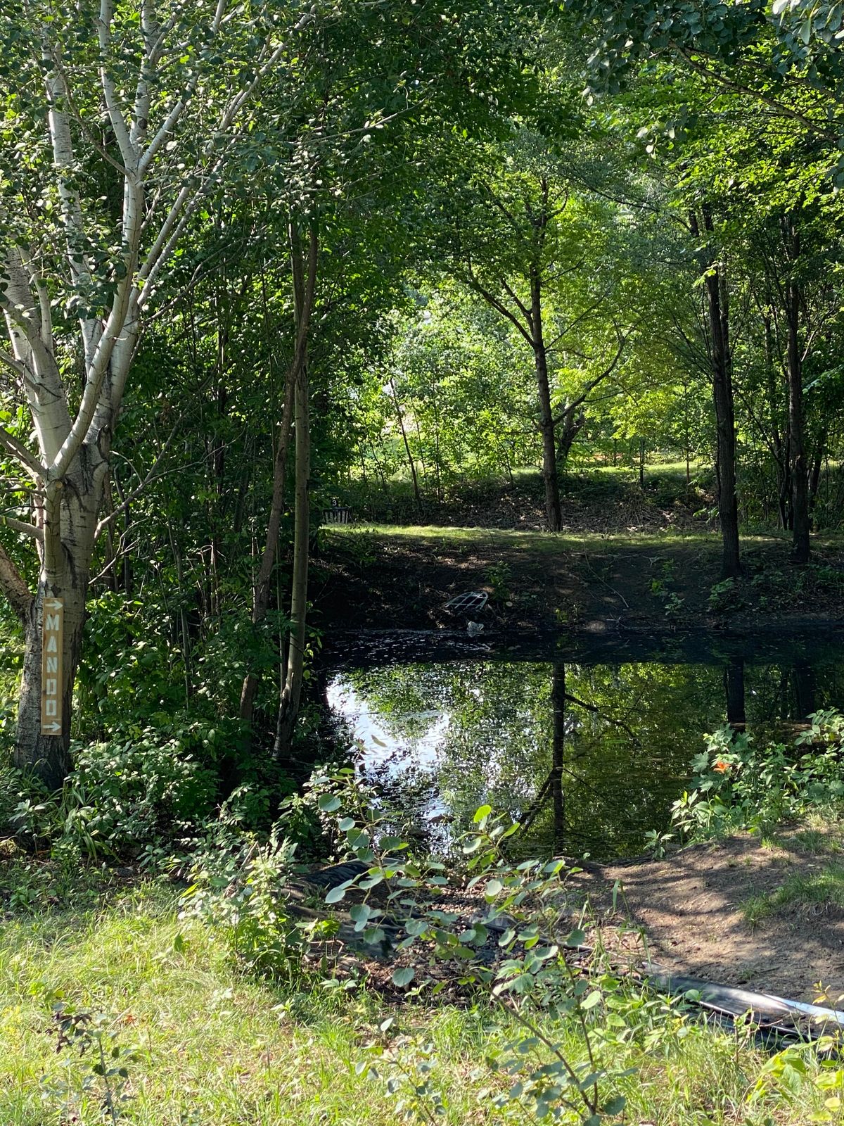 Hole 3 over water hole hyzer route