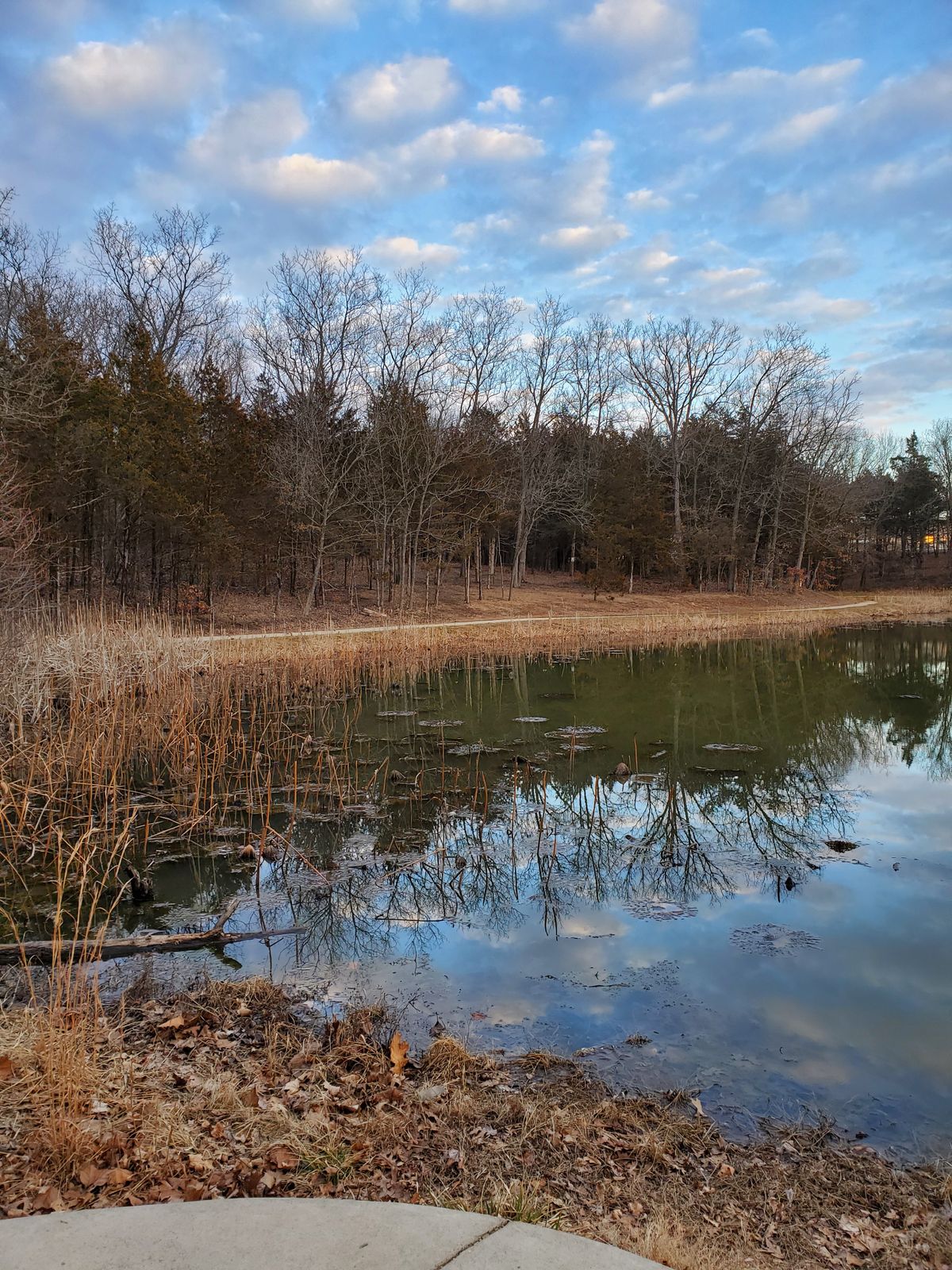 Looking over the pond from 16th tee box