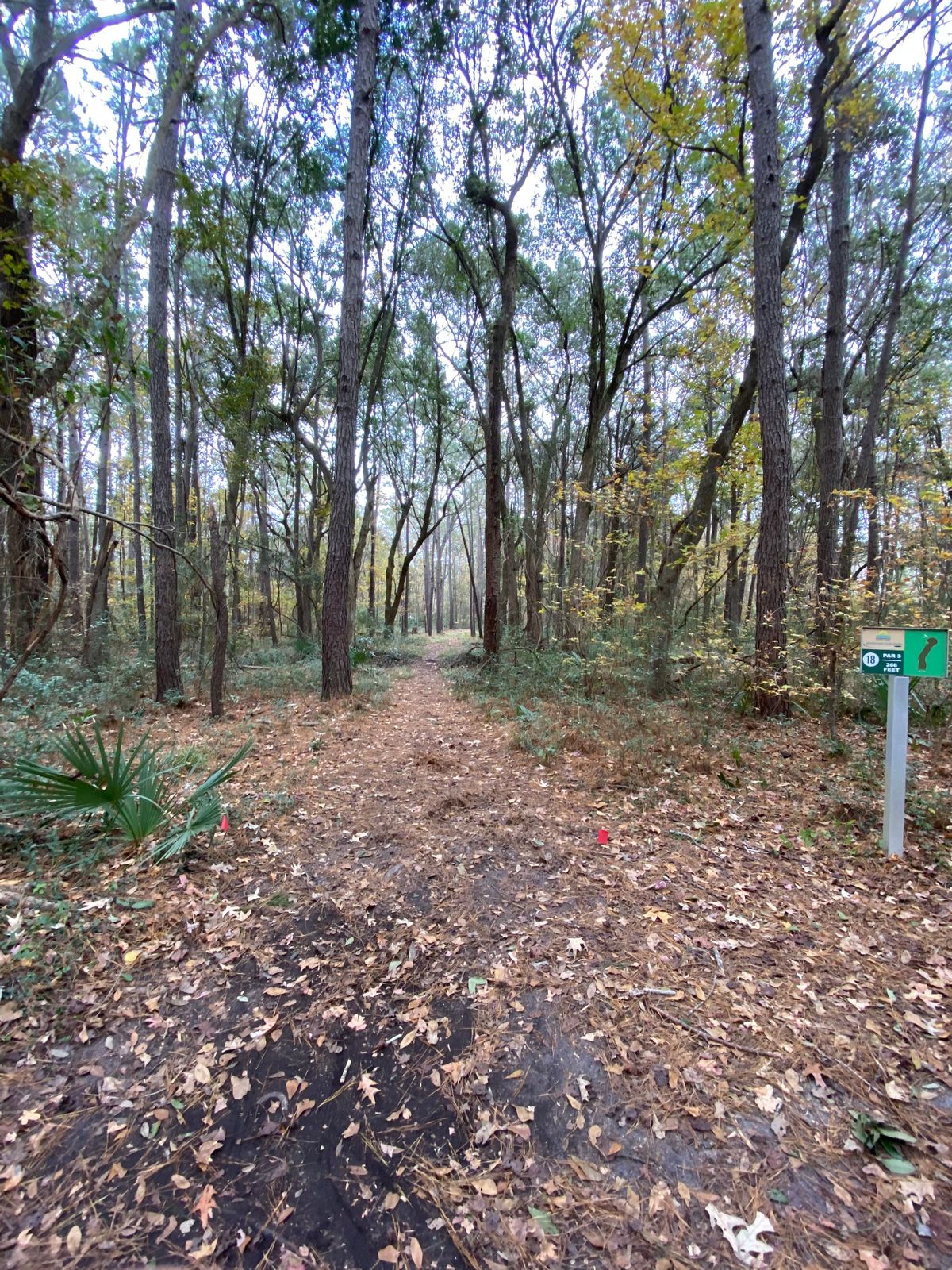 Hole 18