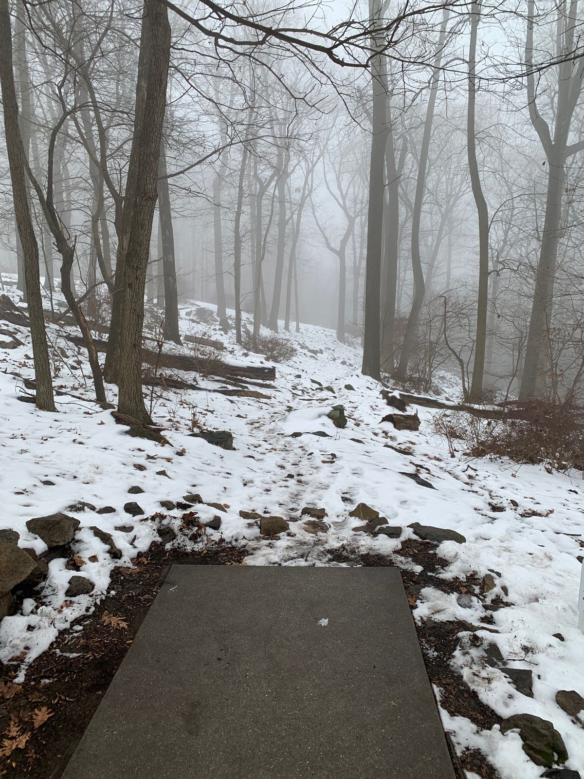 Hole 3 after the last snowstorm with a touch of fog