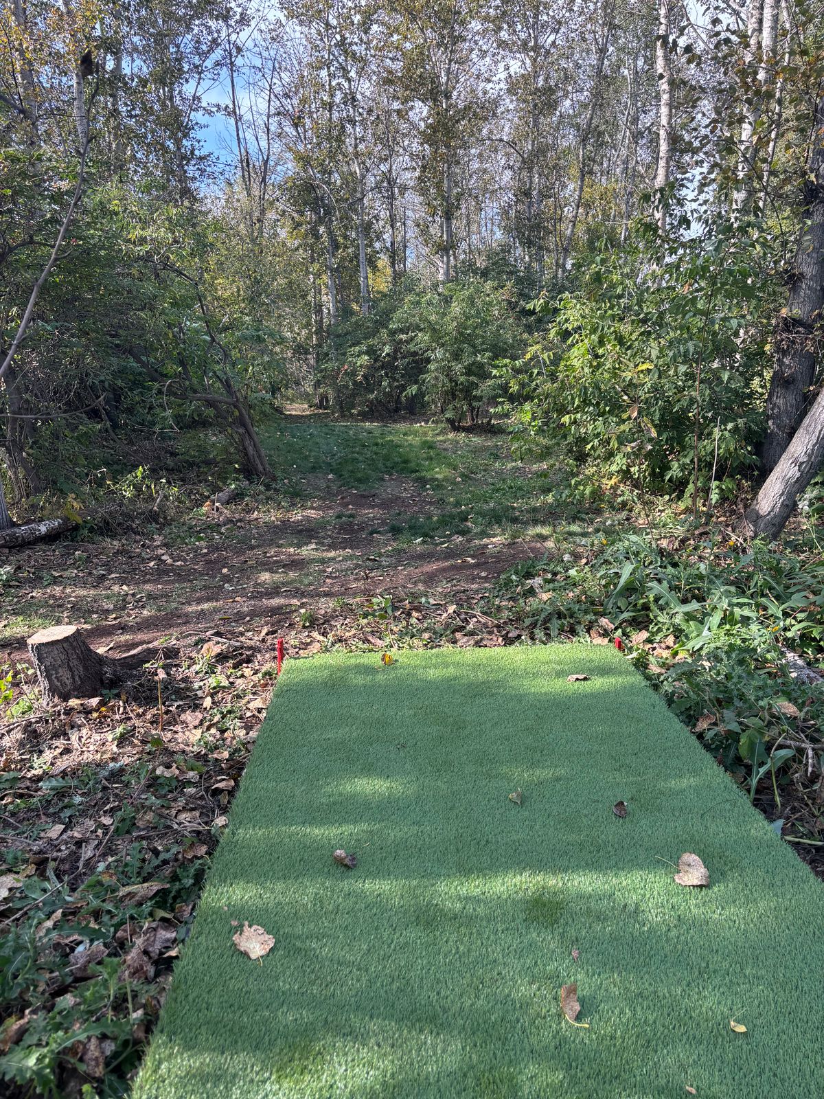Hole 12 Red Teepad
