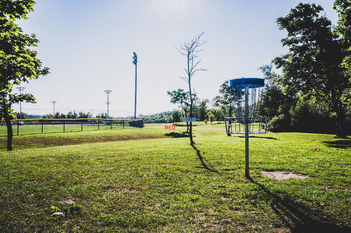 Hole 1 Basket looking towards tees. 