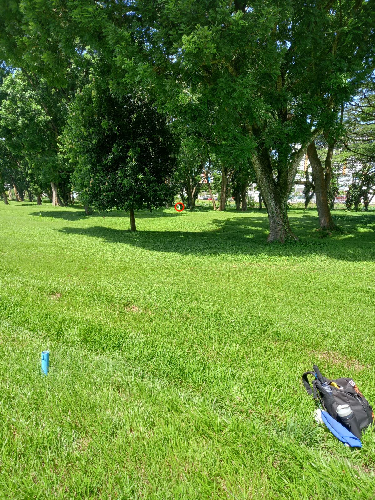 Hole 10