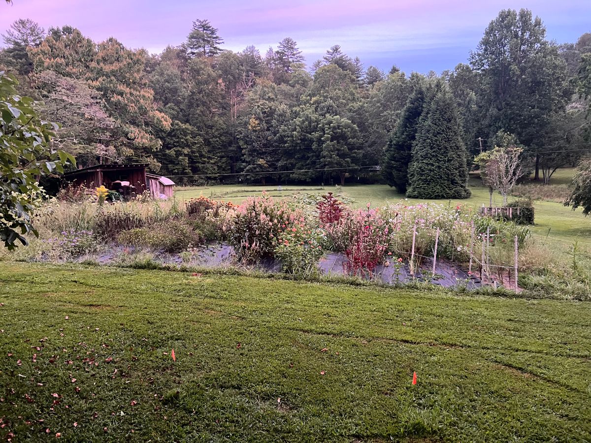 Hole 5 tee pad. Throw over the garden and hit the island. If not head to the drop zone.