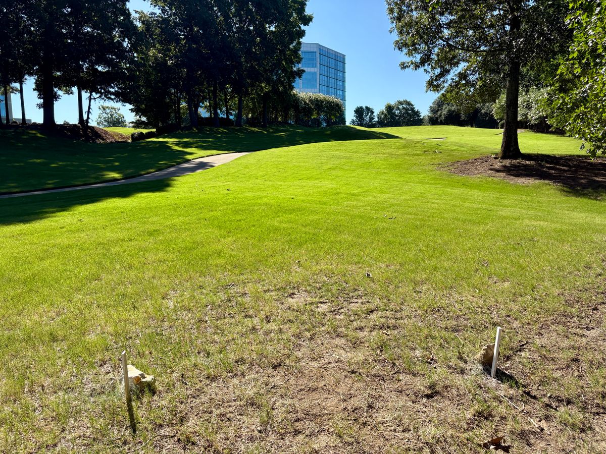 Hole 16 tee