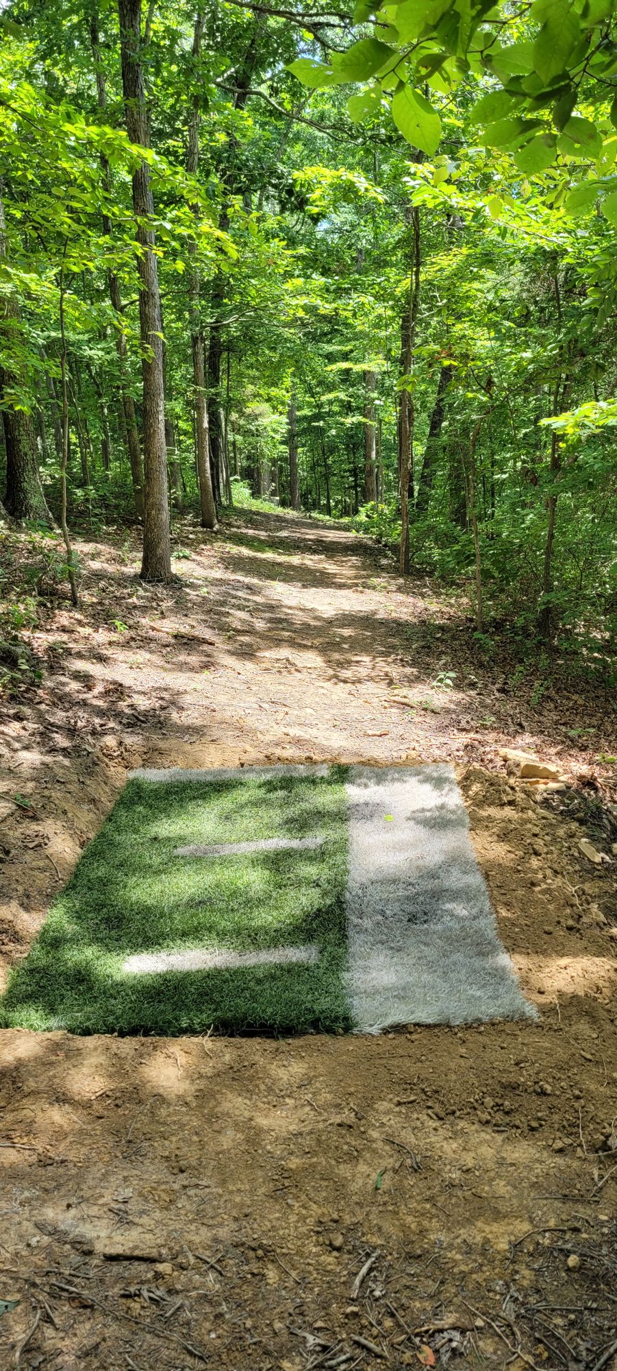 Hole 13 tee