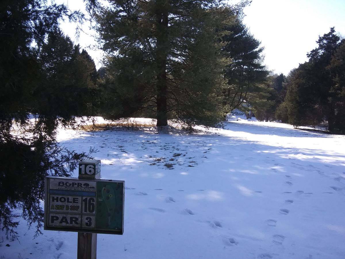 #16 snow tee