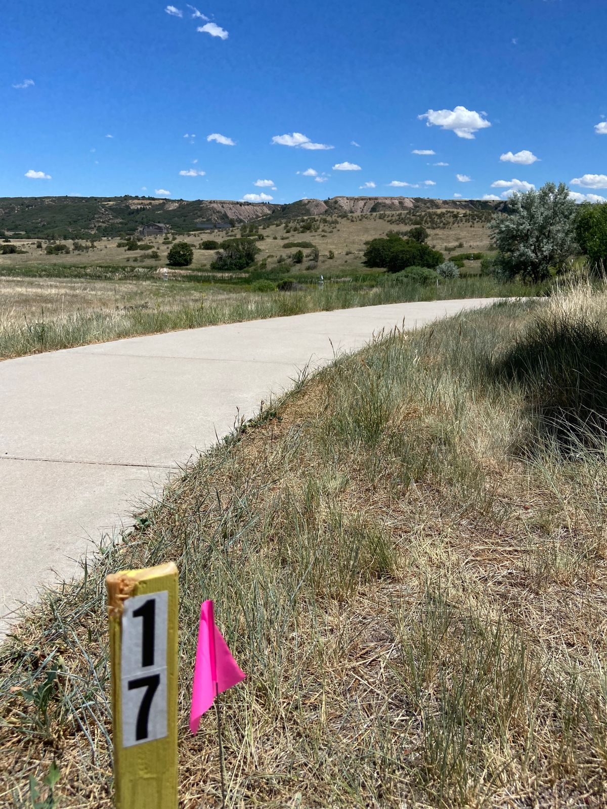 Hole 17 tee to basket