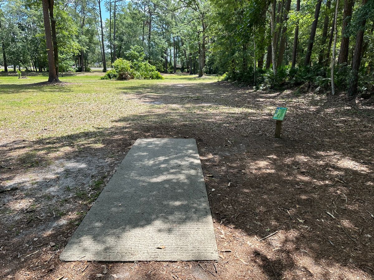 Hole 4 tee pads