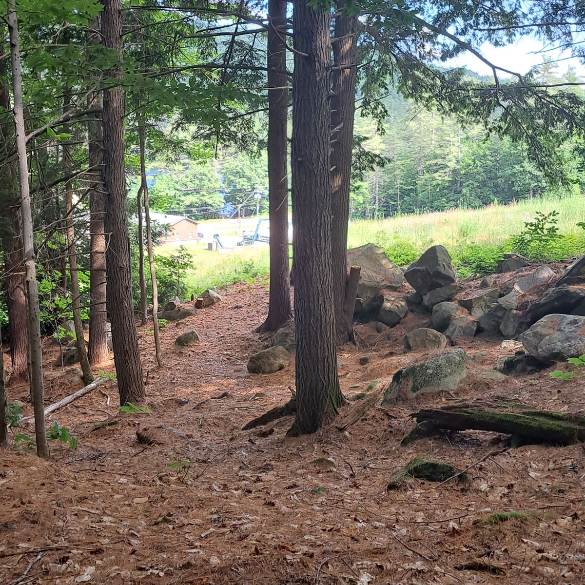 Off the tee hole 18