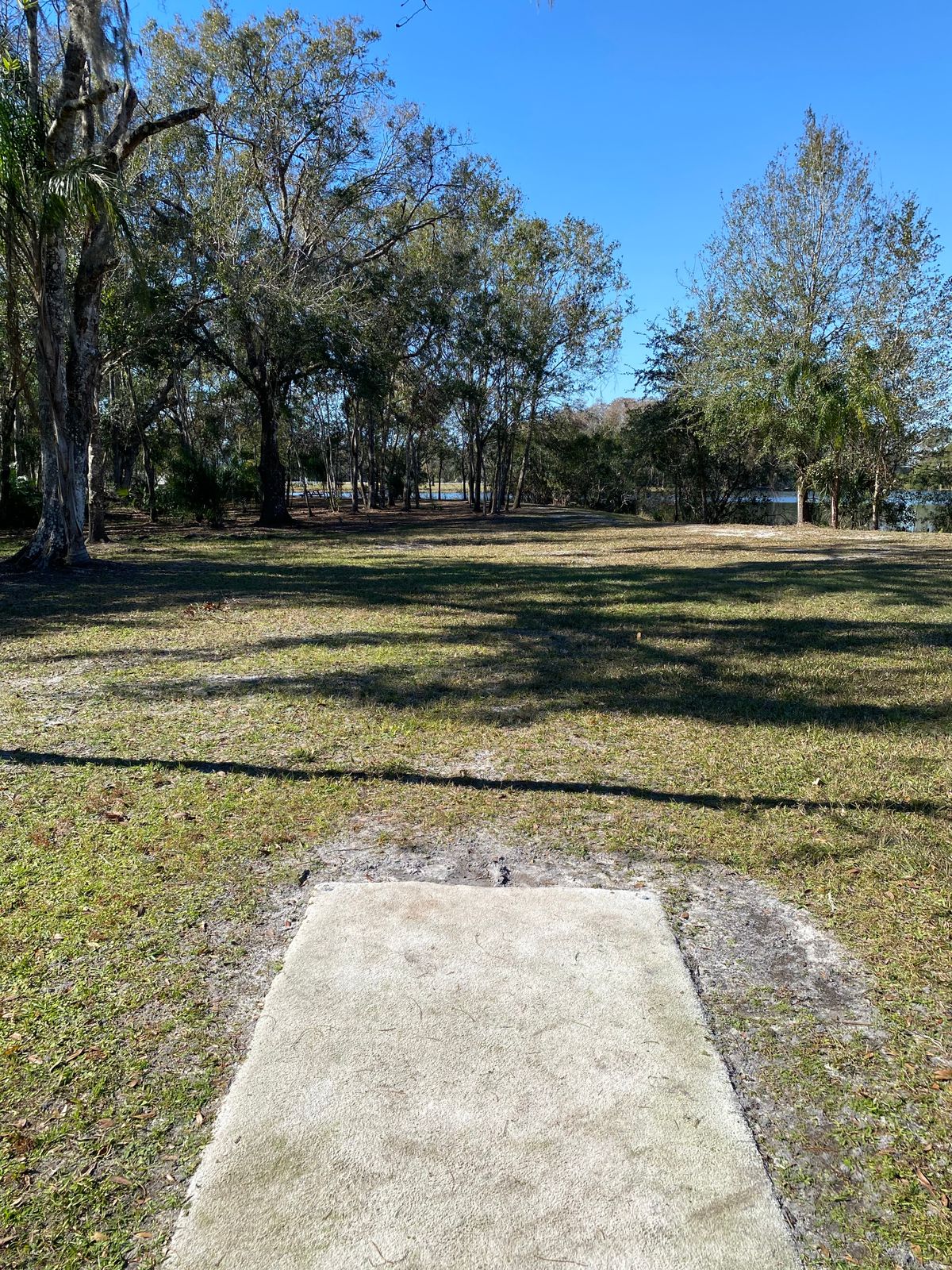 Hole 7 red tee.