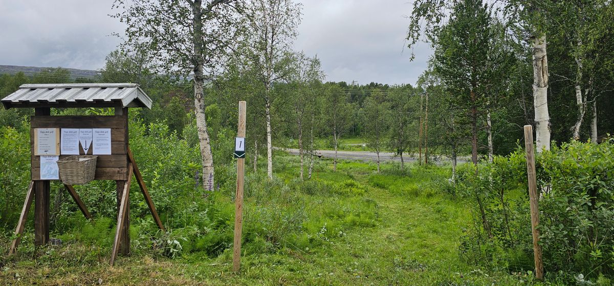 Course photo