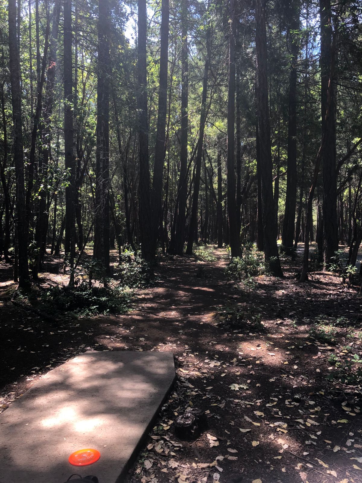 Hole 4 tee