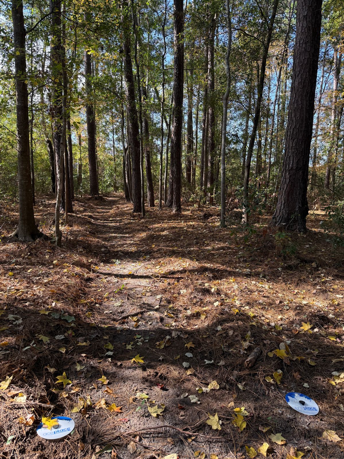 Hole 9 tee. Fairway turns to the right.