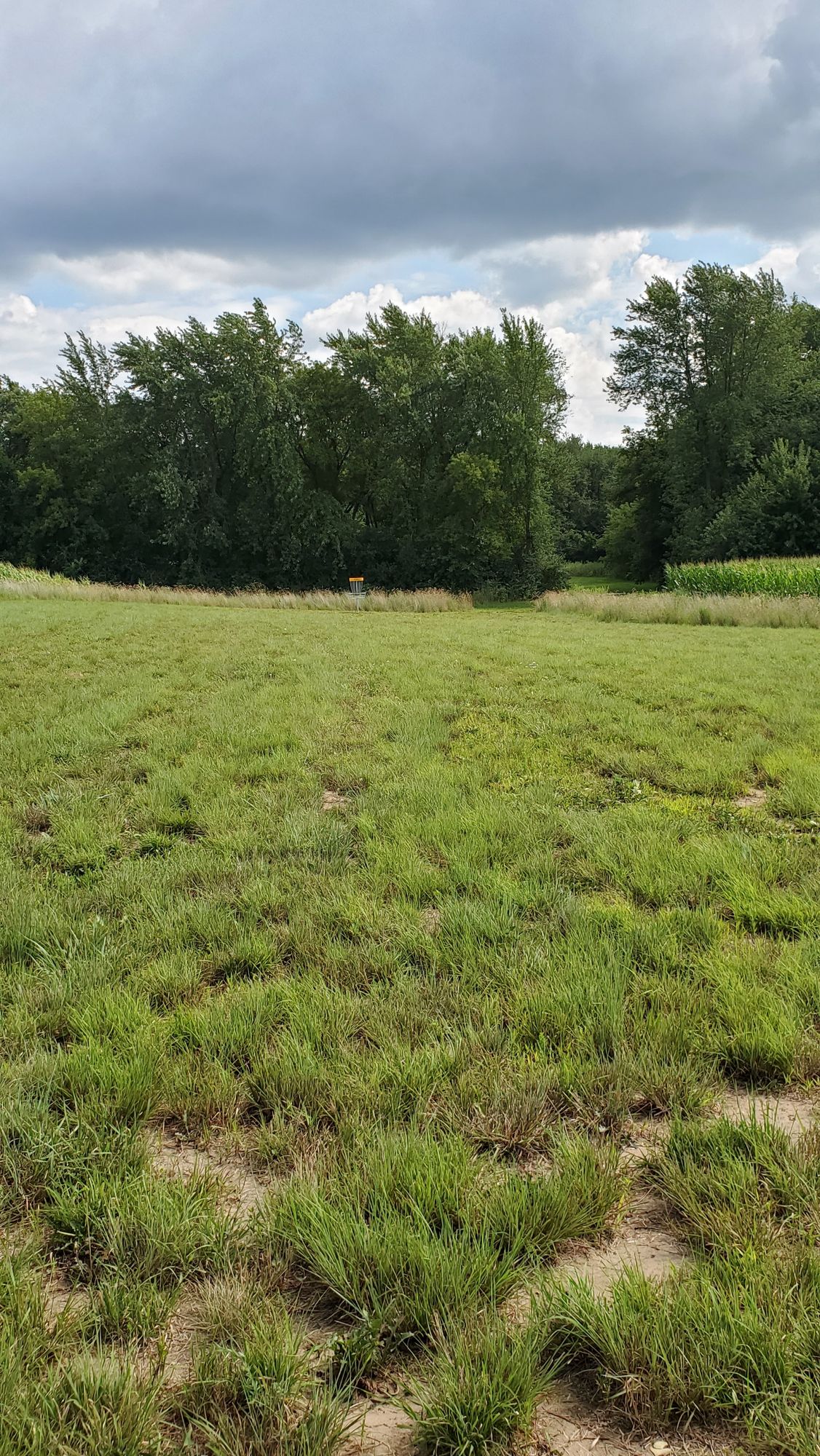 Hole 3's Green.