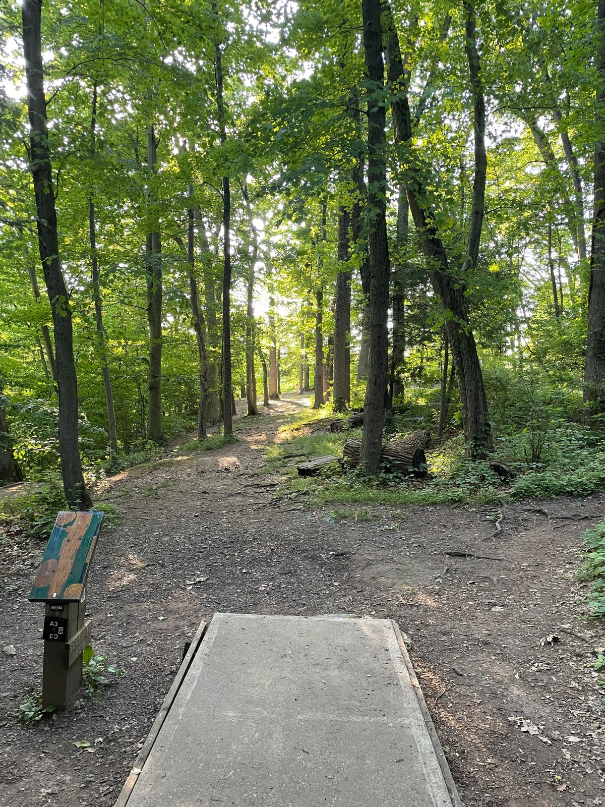 Hole 7 long tee. Summertime.