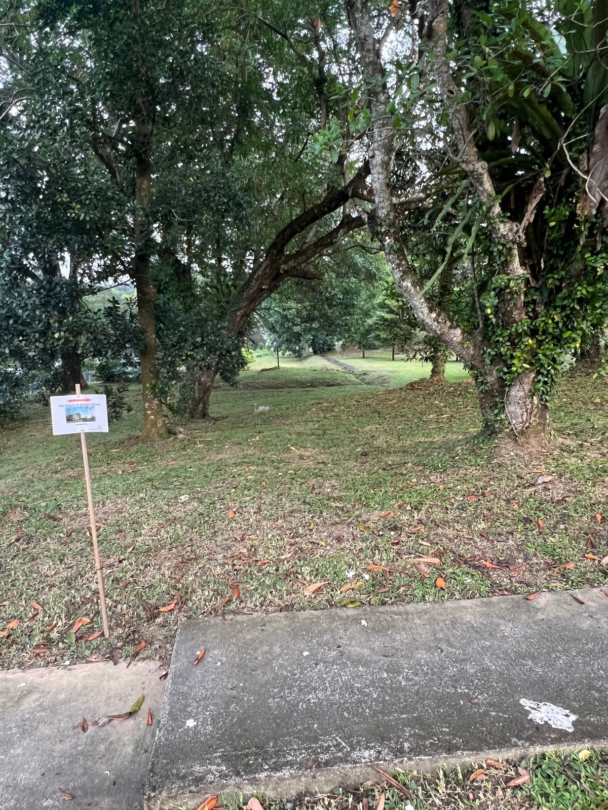 The view of the well protected green of Hole 16 looking back towards the tee.