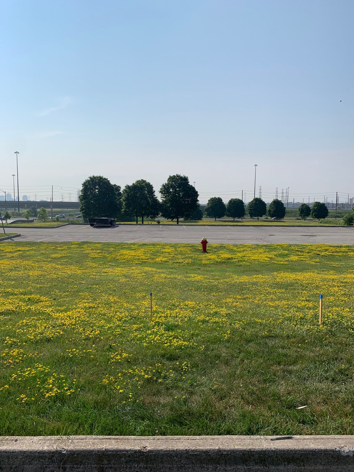 Hole 1 Tee. Parking lot is OB.
